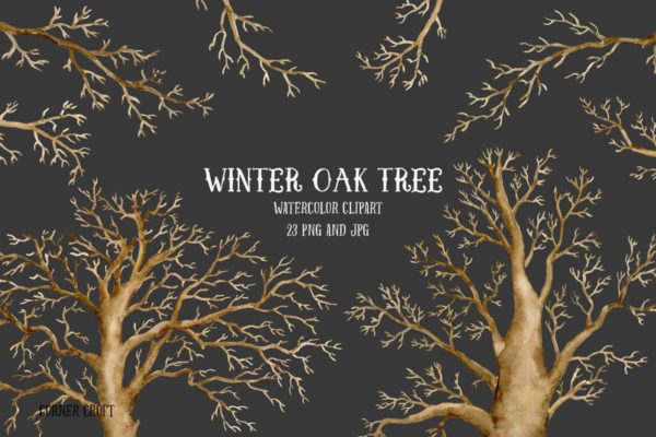 冬季橡树水彩剪贴画汇总 Watercolor Clip Art Winter Oak Tree