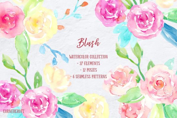 腮红水彩花卉插画汇总 Watercolor Collection Blush