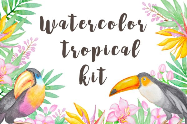 热带主题手绘水彩图案汇总 Watercolor Tropical Kit