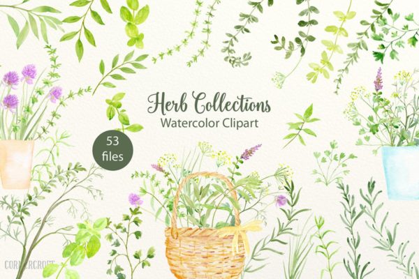 绿色草本植物水彩剪贴画插画汇总 Watercolor Herb Collection