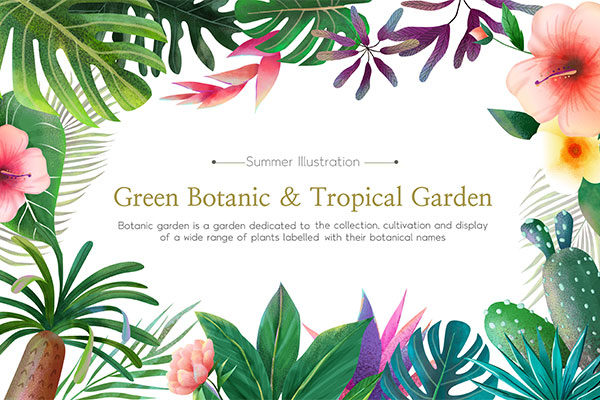 热带绿色植物花卉插画设计素材精选