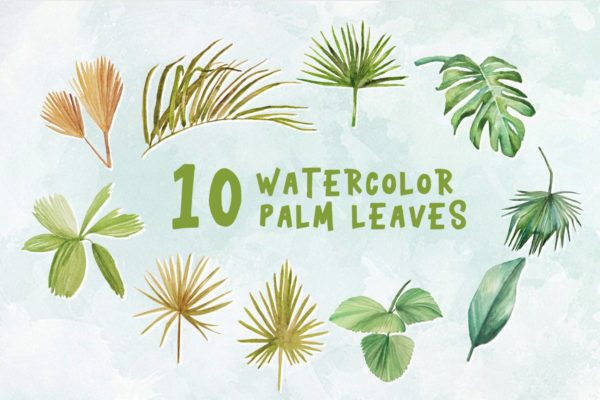 绿色植物棕榈叶水彩插画设计素材精选 10 Watercolor Palm Leaves Illustration Graphics