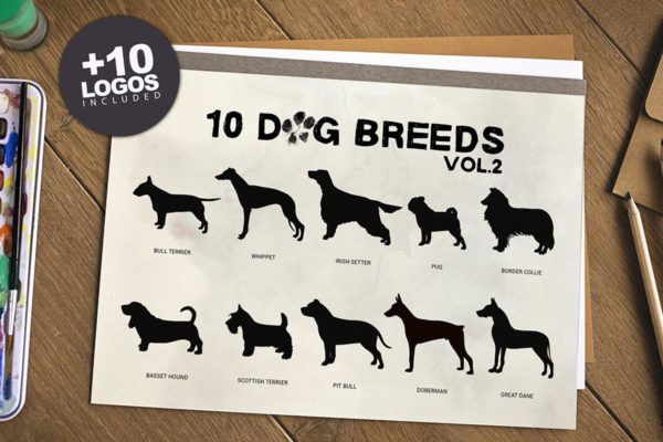 10款动物犬种矢量插画素材精选 10 Dog Breeds vol2 + Bonus