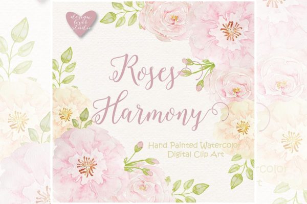 腮红玫瑰水彩插画剪贴画素材精选 Watercolor Rose Blush design