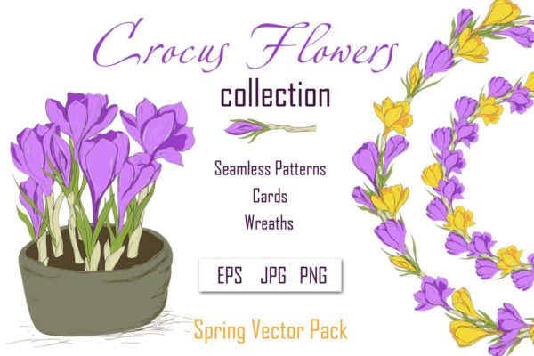 春天藏红花水彩插画设计素材精选 Crocus. Spring Flowers collection