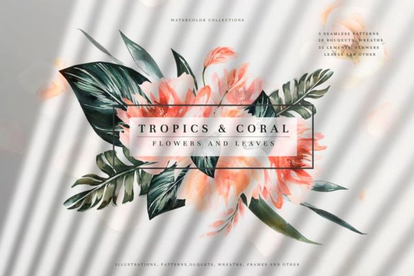 热带植物水彩手绘图案设计素材精选套装 Tropics & Coral Watercolor Set