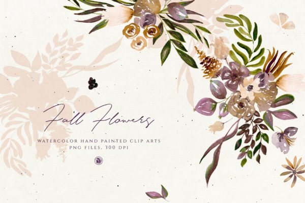 秋天手绘水彩花卉插画设计素材精选 Fall Flowers