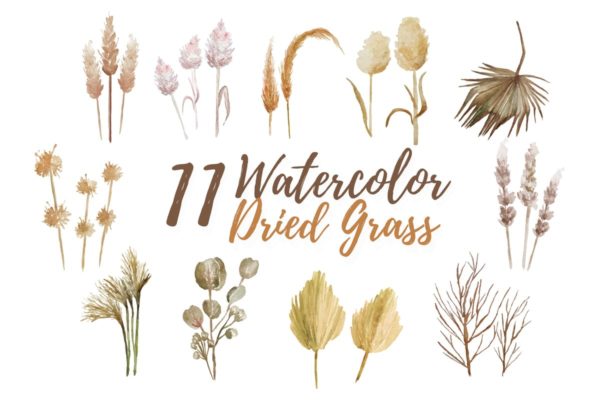 11款热带干草水彩剪贴画&装饰元素 11 Watercolor Dried Grass Illustration Graphics
