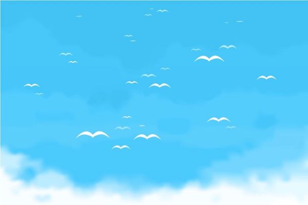 一群在空中飞翔的鸟  Sky birds