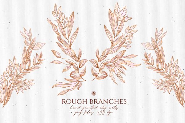 高清手绘橄榄枝叶PNG素材精选 Rough Branches