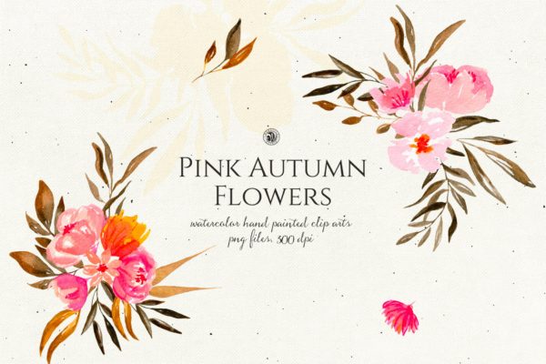 秋天粉色手绘花卉插画PNG素材精选v2 Pink Autumn Flowers vol.2