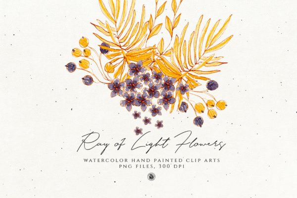 浅色优雅水彩手绘花卉剪贴画PNG素材精选 Ray of Light Flowers