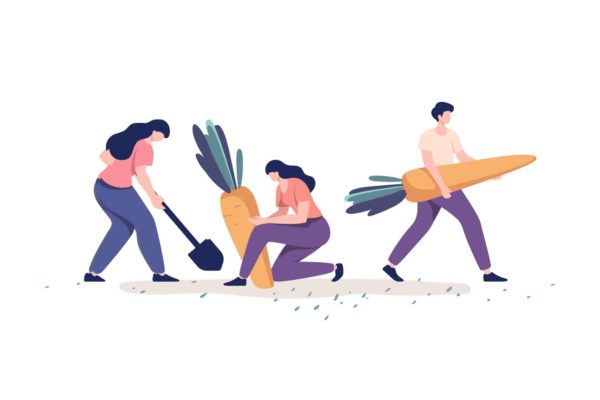 农作物收割场面矢量插画素材精选 People Harvesting Vegetables