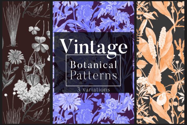 高清复古植物图案背景设计素材精选 Vintage Botanical Patterns