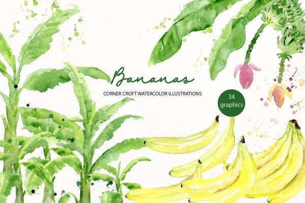水彩香蕉&香蕉树手绘插画PNG素材精选 Watercolor Banana Illustration
