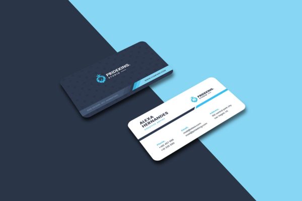 圆角双色设计风格公司名片设计模板精选 Business Card