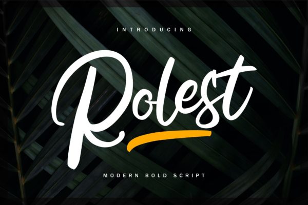 现代书法艺术英文粗体手写字体大洋岛精选 Rolest | Modern Bold Script Font
