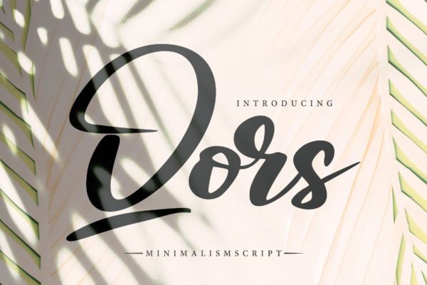 极简主义排版设计风格英文书法字体大洋岛精选 Qors | Minimalism Script Font