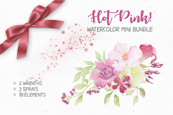 粉色手绘水彩花卉剪贴画大洋岛精选PNG素材 Watercolor Mini Bundle in Hot Pink