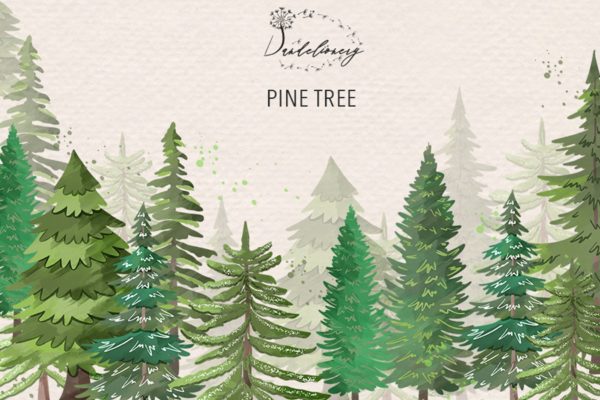 松树水彩艺术剪贴画大洋岛精选PNG素材 Pine trees clip arts缩略图 松树水彩艺术剪贴画大洋岛精选PNG素材 Pine trees clip arts
