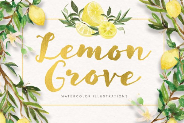 柠檬树水彩手绘矢量插画大洋岛精选素材 Lemon Grove Watercolor Illustrations