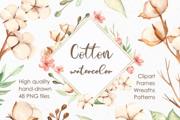 水彩棉花手绘剪贴画/花框/花环大洋岛精选设计素材 Watercolor cotton. Clipart, frames, wreaths