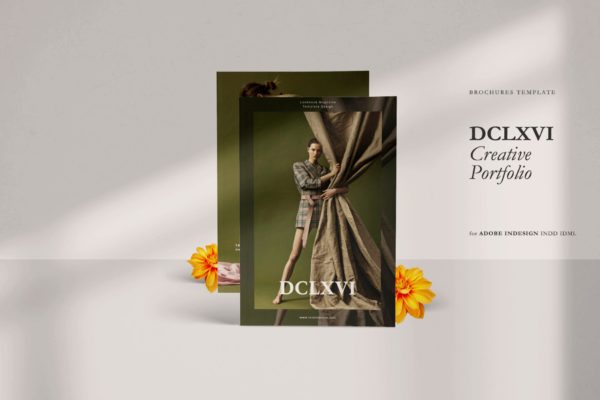 现代风格创意品牌产品大洋岛精选杂志设计模板 Magazine Business Agency DCLXVI Template – LS