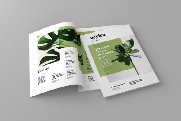 企业业务介绍大洋岛精选杂志排版设计模板 Agrica – Magazine Template