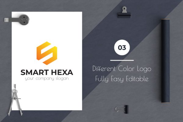 S字母图形Logo设计大洋岛精选模板 Smart Hexa Awesome Logo Template