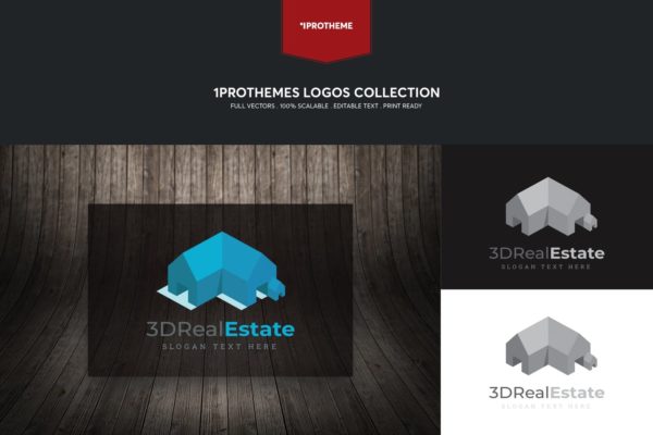 3D房地产品牌Logo设计大洋岛精选模板 3D Real Estate Logo Template
