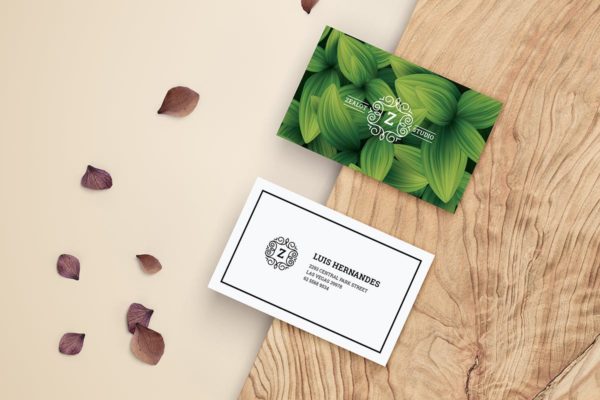 现代简约风格企业品牌大洋岛精选名片模板 Business Card