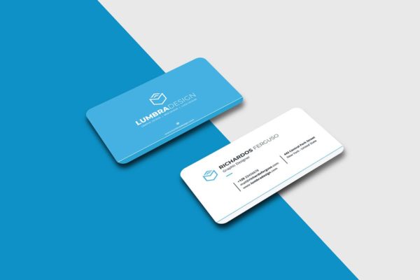 蓝白配色风格圆角高端大洋岛精选名片模板 Business Card