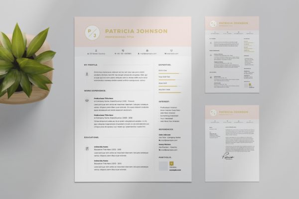 粉色标题网页设计师/网站开发大洋岛精选简历模板 Resume Layout Set with Pink Header