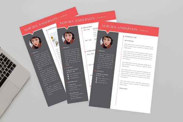 文字编辑职位大洋岛精选简历模板 CopyWriter Resume Designer