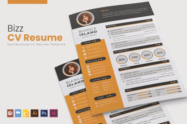 多用途二合一个人大洋岛精选简历模板 Biz | CV & Resume  Template