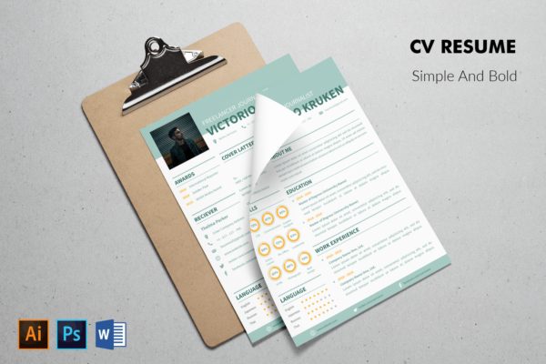 两列式个人简历&推荐信设计模板 CV Resume Professional And Bold