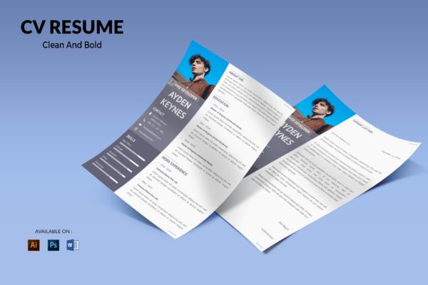 网页开发职位电子大洋岛精选简历模板 CV Resume Simple And Elegant