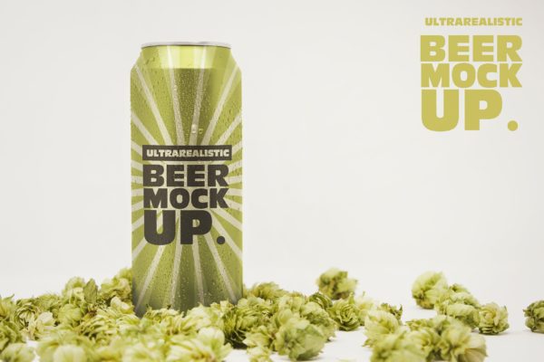 16oz啤酒罐易拉罐外观设计前视图大洋岛精选 Front 16oz Beer Can Mockup