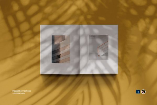 植物阴影墙背景杂志排版设计预览样机大洋岛精选模板 Shadow Magazine Mockups