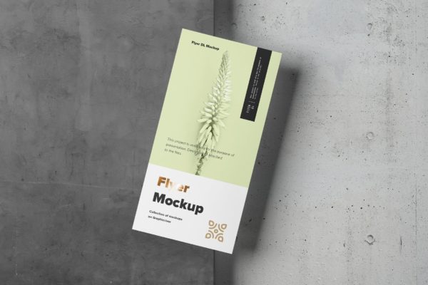 传单设计印刷效果图样机大洋岛精选模板 Flyer Mock-up