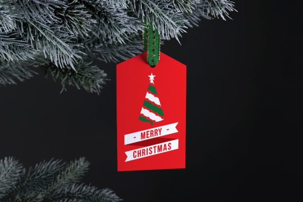 纸质吊牌设计样机大洋岛精选模板 Paper tag mockup
