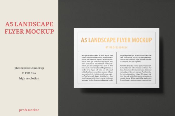 A5尺寸大小烫金设计风格宣传单效果图样机大洋岛精选模板 A5 Landscape Flyer Mockup — Foil Stamping Edition
