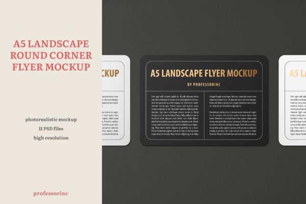 A5尺寸规格圆角宣传单印刷效果图样机大洋岛精选 A5 Landscape Round Corner Flyer Mockup
