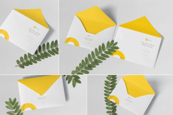 C5尺寸规格企业信封设计图样机大洋岛精选PSD模板 C5 Envelope Mockups