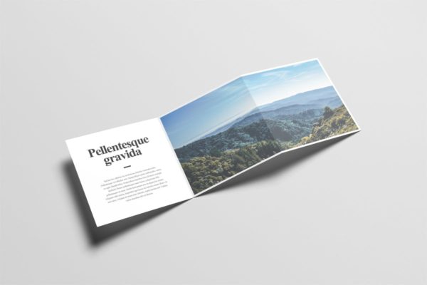 方形Z折小册子版面设计图样机大洋岛精选 Square Z-Fold Brochure Mock-Up