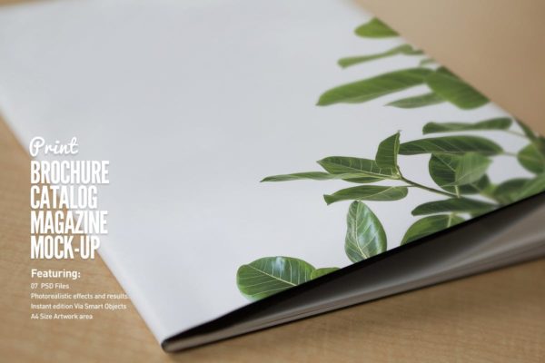 宣传册/小册子/目录设计预览样机大洋岛精选模板 Brochure / Booklet / Catalog Mock-Up PSD