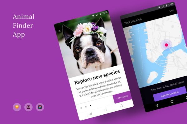 动物防丢失位置搜索APP应用UI界面设计大洋岛精选模板 Animal Finder App