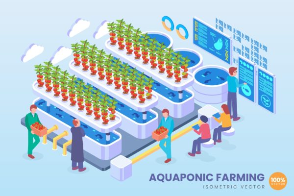 水产养殖技术等距矢量大洋岛精选科技概念插画 Isometric Aquaponic Farming Technology Vector