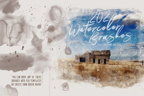 202种抽象和花卉水彩PS笔刷大洋岛精选 202 Watercolor Brushes
