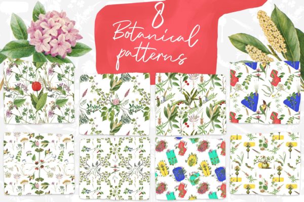 8款复古植物手绘图案背景大洋岛精选 8 Vintage Botanical Patterns